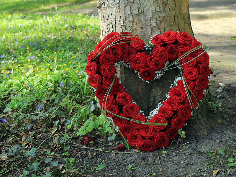 Herzförmiges Kranzgebinde aus roten Rosen bei Urnenbeisetzung in Mühlheim am Main, Ausdruck von Liebe und Abschied